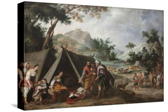 Stretched Canvas Print, , large