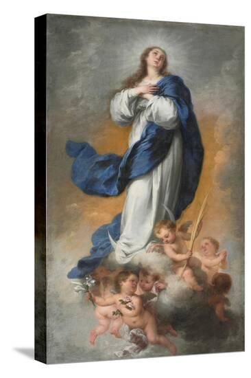 Stretched Canvas Print, , large