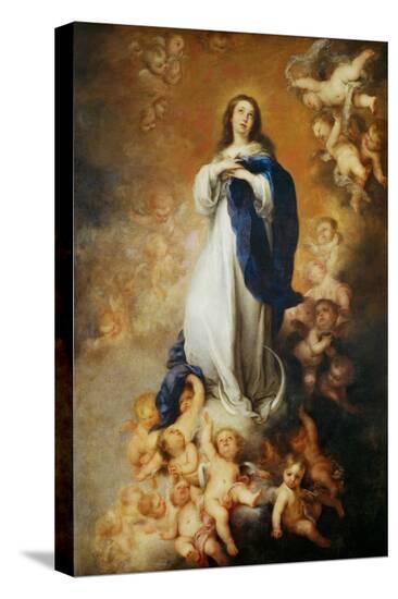 Stretched Canvas Print, , large