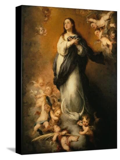 Stretched Canvas Print, , large
