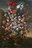 Lilies, Tulips, Carnations, Peonies, Convolvuli and Other Flowers in a Bronze Urn, 1718-Bartolomeo Bimbi-Framed Stretched Canvas