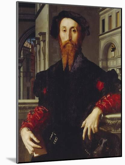 Bartolomeo Panciatichi, C. 1540-Agnolo Bronzino-Mounted Giclee Print