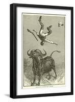 Barttelot's Adventure with a Buffalo-null-Framed Premium Giclee Print