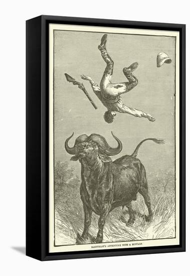 Barttelot's Adventure with a Buffalo-null-Framed Stretched Canvas