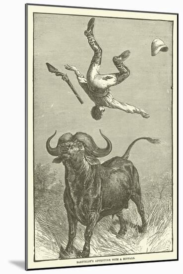 Barttelot's Adventure with a Buffalo-null-Mounted Giclee Print