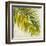 Barú Palm III-Patricia Pinto-Framed Art Print