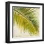 Barú Palm III-Patricia Pinto-Framed Art Print