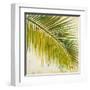 Barú Palm III-Patricia Pinto-Framed Art Print