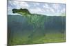 Baryonyx Swimming Amongst Some Lepidotes Fish-null-Mounted Art Print