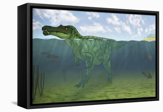 Baryonyx Swimming Amongst Some Lepidotes Fish-null-Framed Stretched Canvas