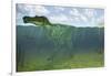 Baryonyx Swimming Amongst Some Lepidotes Fish-null-Framed Art Print