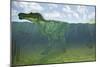 Baryonyx Swimming Amongst Some Lepidotes Fish-null-Mounted Art Print