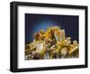 Baryte mineral-Walter Geiersperger-Framed Photographic Print