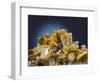 Baryte mineral-Walter Geiersperger-Framed Photographic Print