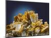 Baryte mineral-Walter Geiersperger-Mounted Photographic Print