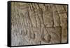 Bas-Relief Carvings, Angkor Wat, Angkor, UNESCO World Heritage Site, Siem Reap, Cambodia, Indochina-Michael Nolan-Framed Stretched Canvas