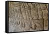 Bas-Relief Carvings, Angkor Wat, Angkor, UNESCO World Heritage Site, Siem Reap, Cambodia, Indochina-Michael Nolan-Framed Stretched Canvas