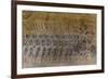 Bas-Relief Carvings, Angkor Wat, Angkor, UNESCO World Heritage Site, Siem Reap, Cambodia, Indochina-Michael Nolan-Framed Photographic Print