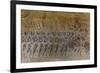 Bas-Relief Carvings, Angkor Wat, Angkor, UNESCO World Heritage Site, Siem Reap, Cambodia, Indochina-Michael Nolan-Framed Photographic Print