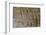 Bas-Relief Carvings, Angkor Wat, Angkor, UNESCO World Heritage Site, Siem Reap, Cambodia, Indochina-Michael Nolan-Framed Photographic Print