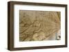 Bas-Relief Carvings from the Churning of the Sea of Milk Myth-Michael Nolan-Framed Photographic Print