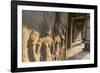 Bas-Relief Carvings of Apsara, Angkor Wat, Angkor, UNESCO World Heritage Site, Siem Reap, Cambodia-Michael Nolan-Framed Photographic Print