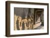 Bas-Relief Carvings of Apsara, Angkor Wat, Angkor, UNESCO World Heritage Site, Siem Reap, Cambodia-Michael Nolan-Framed Photographic Print