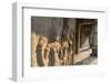 Bas-Relief Carvings of Apsara, Angkor Wat, Angkor, UNESCO World Heritage Site, Siem Reap, Cambodia-Michael Nolan-Framed Photographic Print