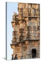 Bas Relief. Chittaurgarh Citadel. 6th Century. Rajasthan. India-Tom Norring-Stretched Canvas