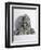 Bas-Relief Depicting Scenes of the Life of Buddha, Gandhara Period-null-Framed Giclee Print