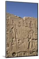 Bas-Relief of Figures and Hieroglyphs, Karnak Temple, Luxor, Thebes, Egypt, North Africa, Africa-Richard Maschmeyer-Mounted Photographic Print