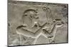 Bas-Relief of Pharaoh Seti I, Temple of Seti I, Abydos, Egypt, North Africa, Africa-Richard Maschmeyer-Mounted Photographic Print
