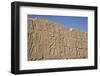 Bas-Relief of Pharaohs and Gods, Karnak Temple, Luxor, Thebes, Egypt, North Africa, Africa-Richard Maschmeyer-Framed Photographic Print