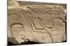 Bas-Relief of Seti I on Left and the God Horus on Right-Richard Maschmeyer-Mounted Photographic Print