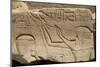 Bas-Relief of Seti I on Left and the God Horus on Right-Richard Maschmeyer-Mounted Photographic Print