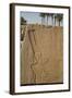 Bas-Relief of the God Amun, Karnak Temple, Luxor, Thebes, Egypt, North Africa, Africa-Richard Maschmeyer-Framed Photographic Print