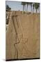Bas-Relief of the God Amun, Karnak Temple, Luxor, Thebes, Egypt, North Africa, Africa-Richard Maschmeyer-Mounted Photographic Print