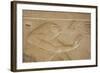Bas-Relief of the God Horus, Temple of Seti I, Abydos, Egypt, North Africa, Africa-Richard Maschmeyer-Framed Photographic Print