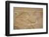 Bas-Relief of the God Horus, Temple of Seti I, Abydos, Egypt, North Africa, Africa-Richard Maschmeyer-Framed Photographic Print