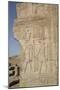 Bas-Relief of the Gods Sobek on Right and Horus on Left-Richard Maschmeyer-Mounted Photographic Print