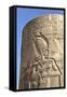 Bas-Relief on Pillar, Forecourt, Temple of Haroeris and Sobek-Richard Maschmeyer-Framed Stretched Canvas