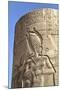 Bas-Relief on Pillar, Forecourt, Temple of Haroeris and Sobek-Richard Maschmeyer-Mounted Photographic Print