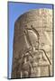 Bas-Relief on Pillar, Forecourt, Temple of Haroeris and Sobek-Richard Maschmeyer-Mounted Photographic Print