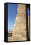 Bas-Relief on Walls, Temple of Haroeris and Sobek, Kom Ombo, Egypt, North Africa, Africa-Richard Maschmeyer-Framed Stretched Canvas