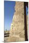 Bas-Relief on Walls, Temple of Haroeris and Sobek, Kom Ombo, Egypt, North Africa, Africa-Richard Maschmeyer-Mounted Photographic Print