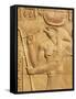 Bas Relief, Temple of Sobek and Haroeris, Kom Ombo, Egypt, North Africa, Africa-Tuul-Framed Stretched Canvas