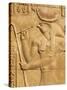 Bas Relief, Temple of Sobek and Haroeris, Kom Ombo, Egypt, North Africa, Africa-Tuul-Stretched Canvas