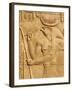 Bas Relief, Temple of Sobek and Haroeris, Kom Ombo, Egypt, North Africa, Africa-Tuul-Framed Photographic Print