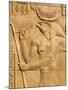 Bas Relief, Temple of Sobek and Haroeris, Kom Ombo, Egypt, North Africa, Africa-Tuul-Mounted Photographic Print