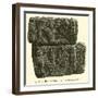 Bas-Relief Trouve a L'Hotel-Dieu, 1867-null-Framed Giclee Print